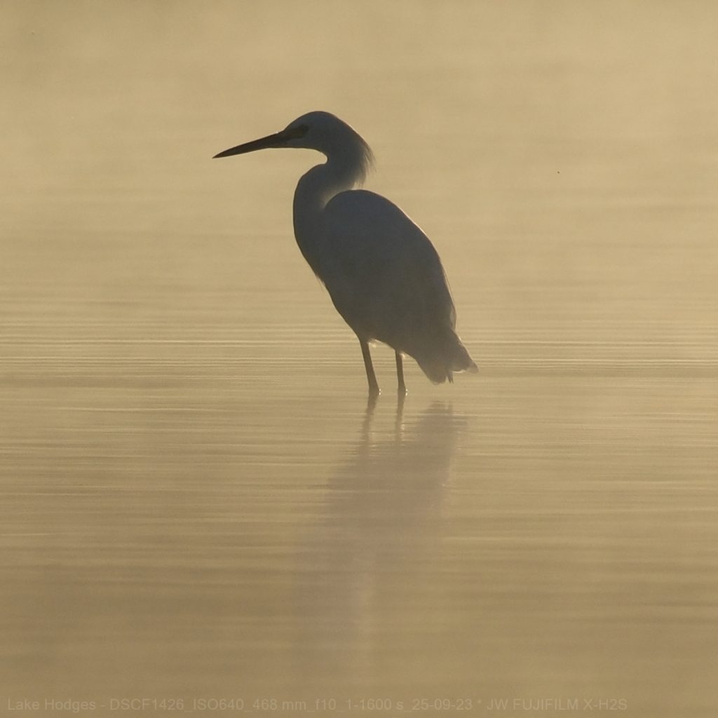 JW-112-Hodges-DSCF1426_ISO640_468-mm_f10_1-1600-s_25-09-23