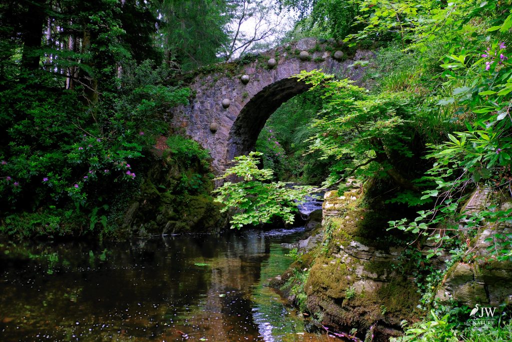 Tollymore Forest Park, Shimna River, Foley's Bridge