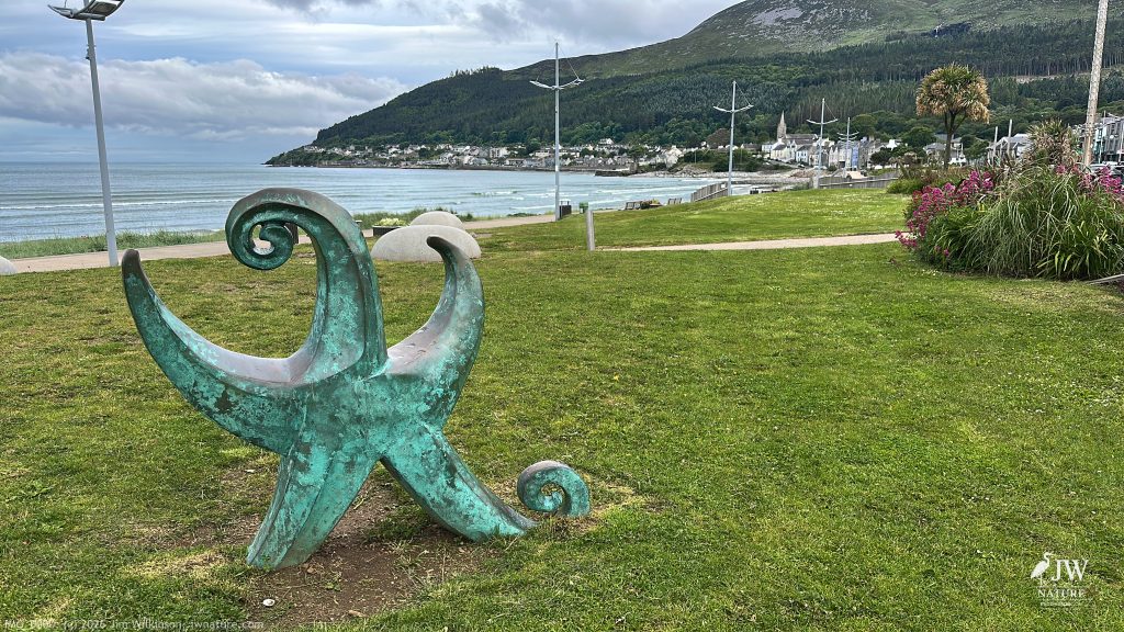 Newcastle, Star Sculpture