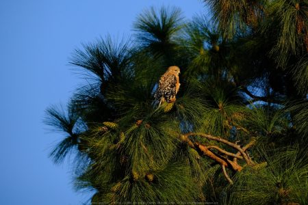 Santee Lakes