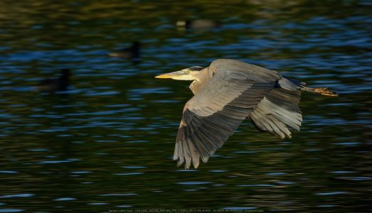 Santee Lakes