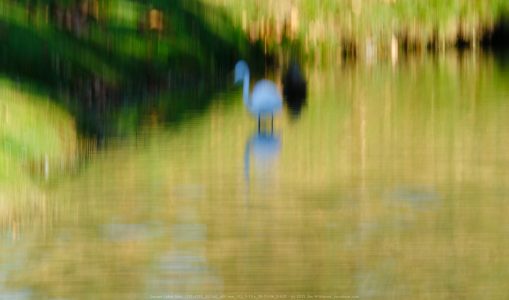Santee Lakes