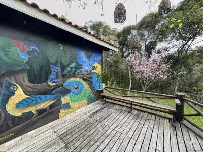 DAY10 - 24 AUG 2025 - MACUQUINHO LODGE - ATLANTIC FOREST (FULL DAY)