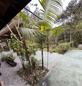DAY10 - 24 AUG 2025 - MACUQUINHO LODGE - ATLANTIC FOREST (FULL DAY)