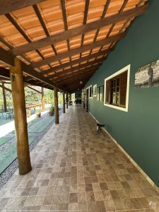 DAY10 - 24 AUG 2025 - MACUQUINHO LODGE - ATLANTIC FOREST (FULL DAY)