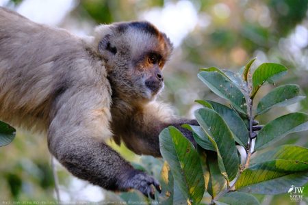 DAY6 - 20 AUG 2025 – POUSADA RIO CLARO, TRANSPANTANEIRA HIGHWAY LEG3, CUIABA RIVER 1