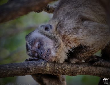DAY6 - 20 AUG 2025 – POUSADA RIO CLARO, TRANSPANTANEIRA HIGHWAY LEG3, CUIABA RIVER 1