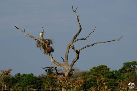 DAY6 - 20 AUG 2025 – POUSADA RIO CLARO, TRANSPANTANEIRA HIGHWAY LEG3, CUIABA RIVER 1