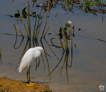 DAY6 - 20 AUG 2025 – POUSADA RIO CLARO, TRANSPANTANEIRA HIGHWAY LEG3, CUIABA RIVER 1