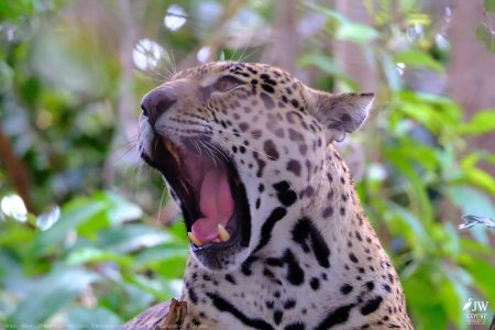 DAY6 - 20 AUG 2025 – POUSADA RIO CLARO, TRANSPANTANEIRA HIGHWAY LEG3, CUIABA RIVER 1
