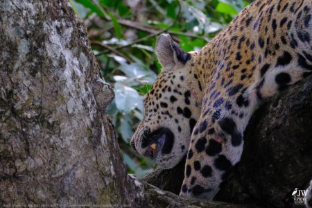 DAY6 - 20 AUG 2025 – POUSADA RIO CLARO, TRANSPANTANEIRA HIGHWAY LEG3, CUIABA RIVER 1