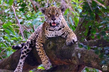 DAY6 - 20 AUG 2025 – POUSADA RIO CLARO, TRANSPANTANEIRA HIGHWAY LEG3, CUIABA RIVER 1