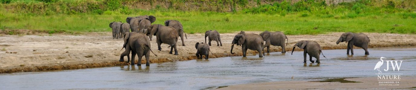 Tarangire National Park, Tanzania - 24 MAY 2026