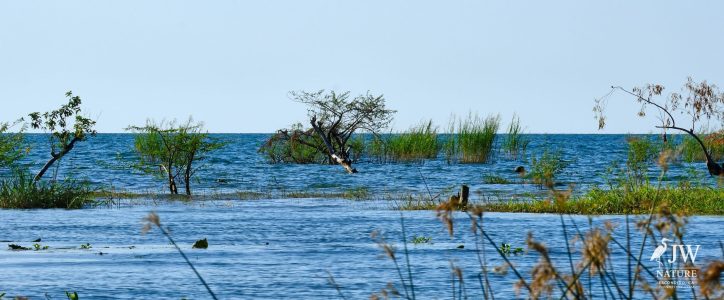 Lake Malawi Fisherman