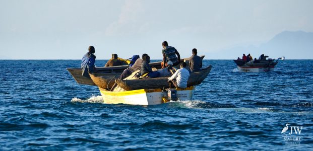 Lake Malawi Fisherman