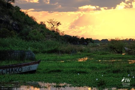 Landscape, Sunset