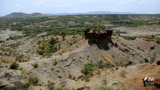 Olduvai (Oldupai) Gorge