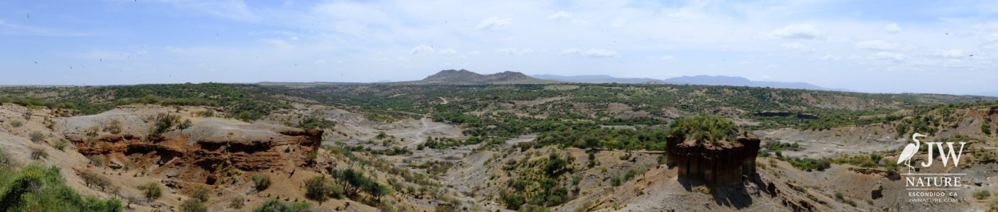 Olduvai (Oldupai) Gorge
