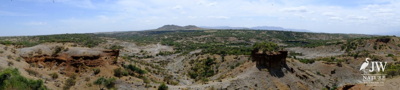 Olduvai (Oldupai) Gorge