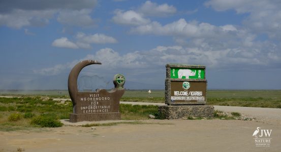 Tanzania Day 5 - 27 May 2026 - Lake Manyara National Park