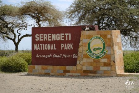 Tanzania Day 5 - 27 May 2026 - Lake Manyara National Park