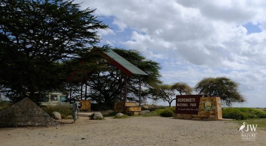 Tanzania Day 5 - 27 May 2026 - Lake Manyara National Park