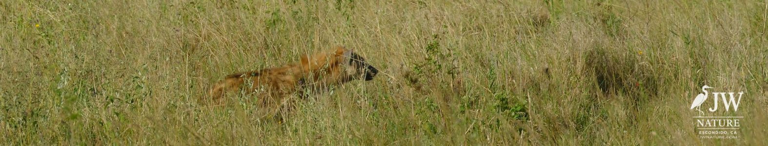 Tanzania Day 5 - 27 May 2026 - Lake Manyara National Park