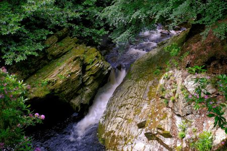 Tollymore Forest Park, Shimna River