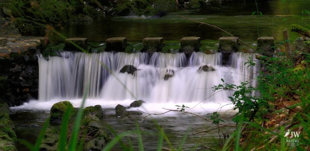 Stepping Stones - Tollymore Forest Park, Tollymore Forest Park, Shimna River