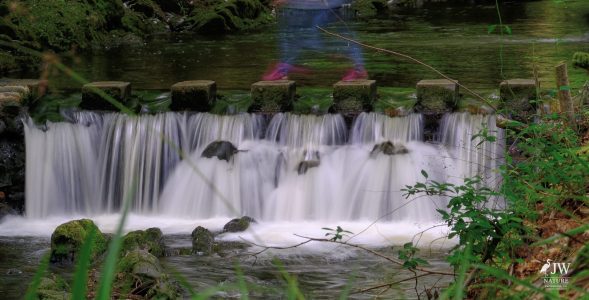 Stepping Stones - Tollymore Forest Park, Tollymore Forest Park, Shimna River