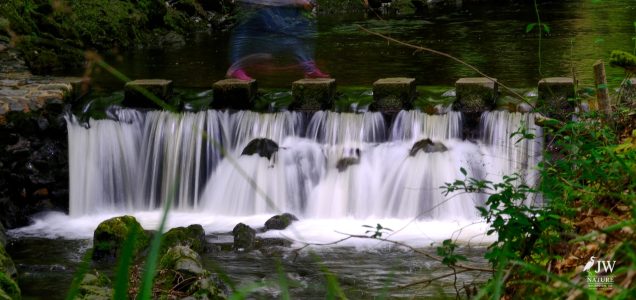 Stepping Stones - Tollymore Forest Park, Tollymore Forest Park, Shimna River