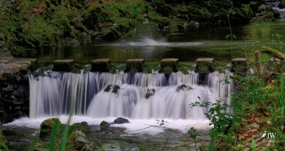 Stepping Stones - Tollymore Forest Park, Tollymore Forest Park