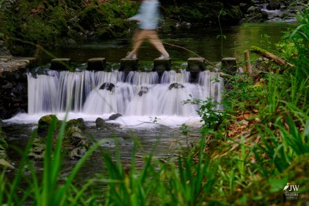 Stepping Stones - Tollymore Forest Park, Tollymore Forest Park, Shimna River