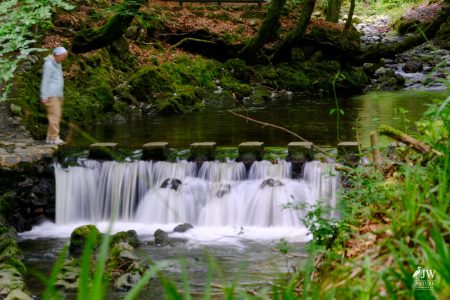 Stepping Stones - Tollymore Forest Park, Tollymore Forest Park, Shimna River