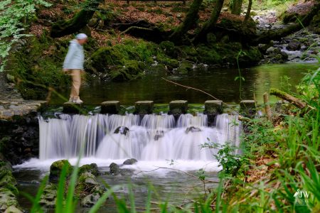 Stepping Stones - Tollymore Forest Park, Tollymore Forest Park, Shimna River