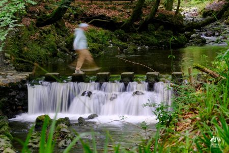 Stepping Stones - Tollymore Forest Park, Tollymore Forest Park, Shimna River