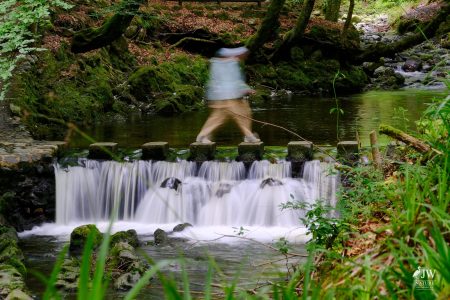 Stepping Stones - Tollymore Forest Park, Tollymore Forest Park, Shimna River