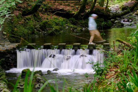 Stepping Stones - Tollymore Forest Park, Tollymore Forest Park, Shimna River