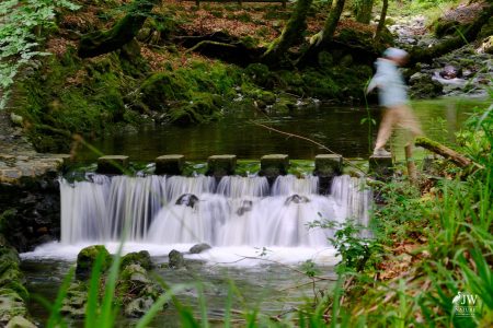Stepping Stones - Tollymore Forest Park, Tollymore Forest Park, Shimna River