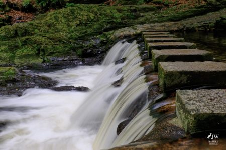 Stepping Stones - Tollymore Forest Park, Tollymore Forest Park, Shimna River