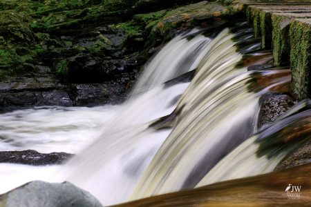 Stepping Stones - Tollymore Forest Park, Tollymore Forest Park, Shimna River
