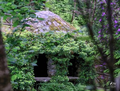 Shimna River, Tollymore Forest Park, Hermitage