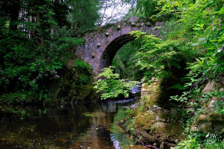 Tollymore Forest Park, Shimna River, Foley's Bridge