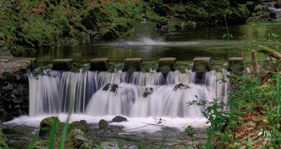 Stepping Stones - Tollymore Forest Park, Tollymore Forest Park