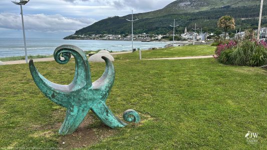 Newcastle, Star Sculpture